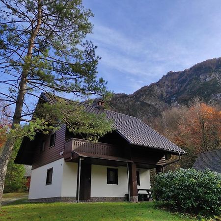 Apartmaji Zupancic Bohinj Exteriér fotografie