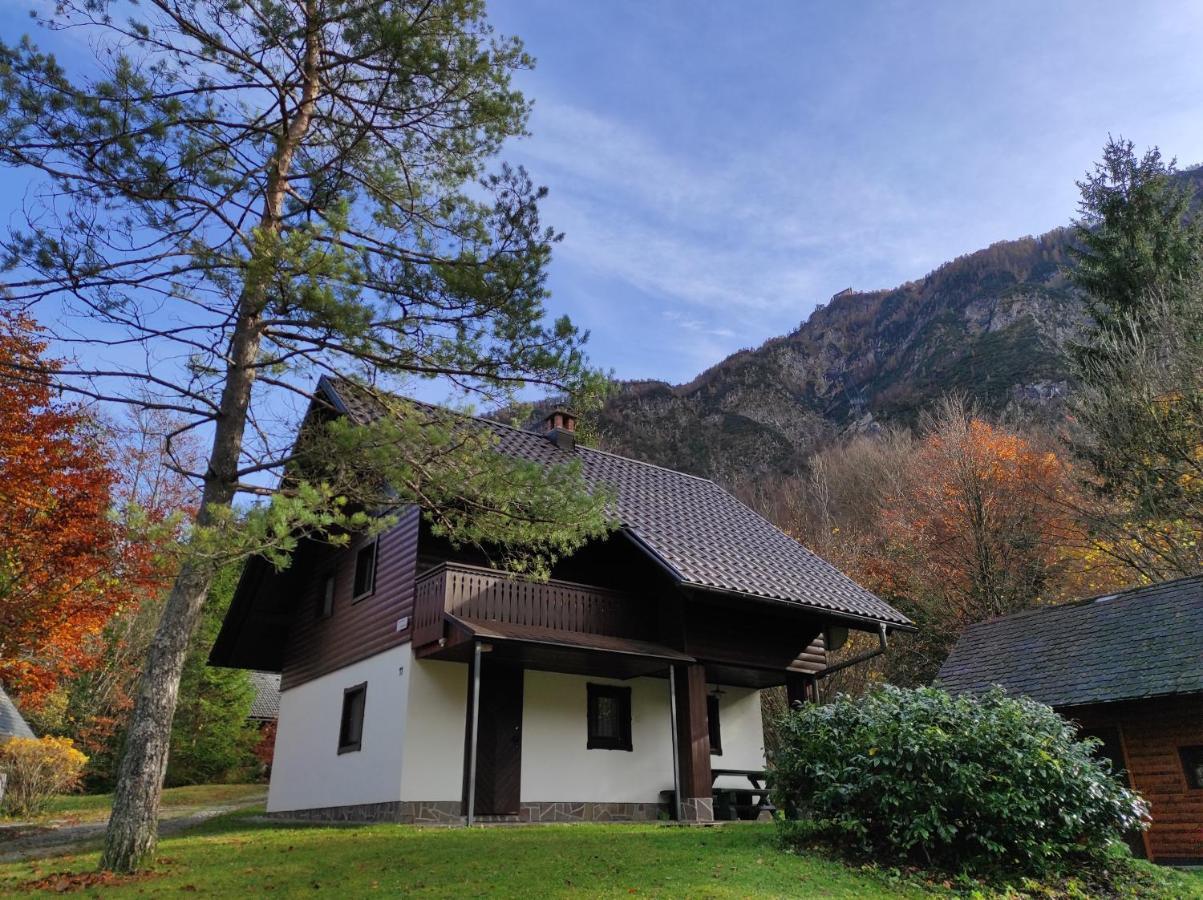 Apartmaji Zupancic Bohinj Exteriér fotografie