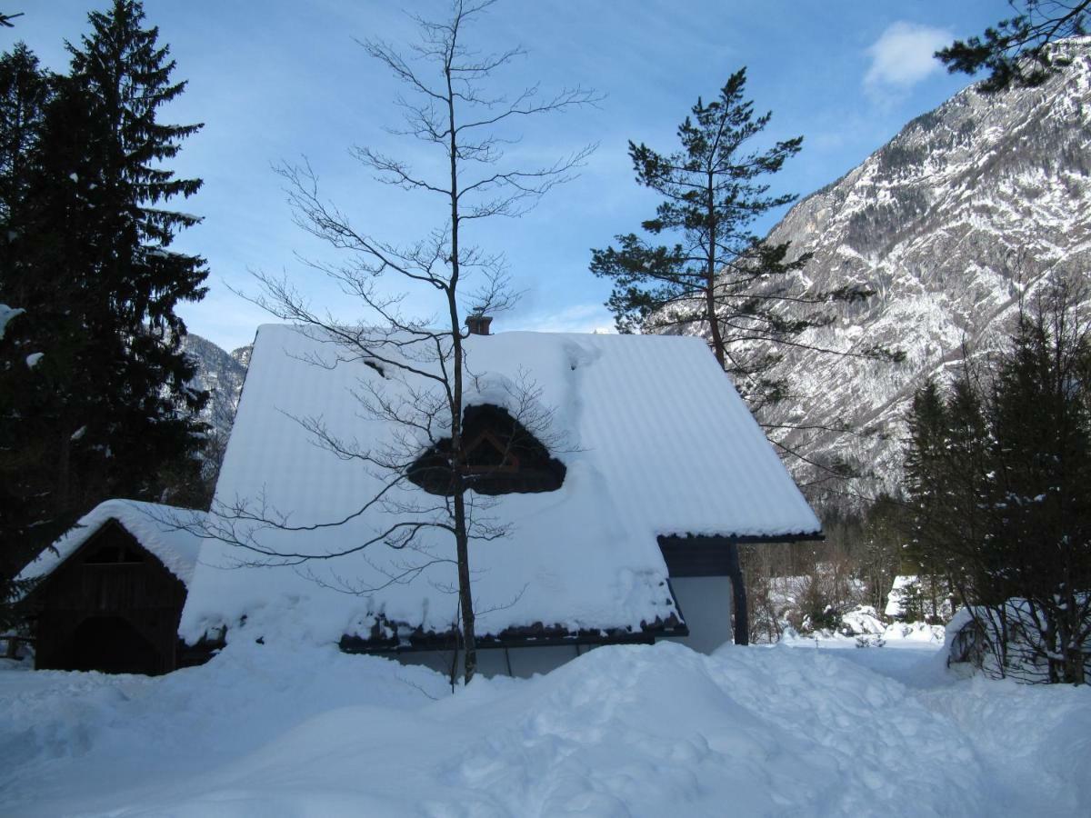Apartmaji Zupancic Bohinj Exteriér fotografie