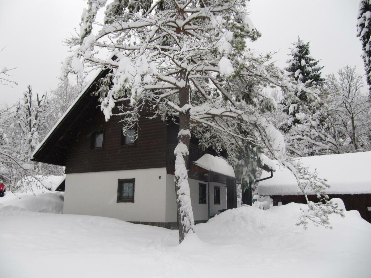 Apartmaji Zupancic Bohinj Exteriér fotografie